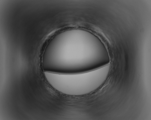 X0000088151304200705141043