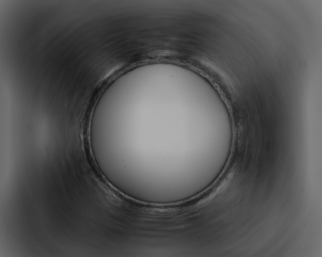 X0000088151305200705141043