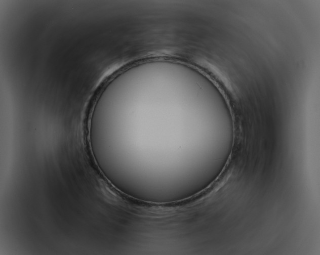 X0000088151308200705141043