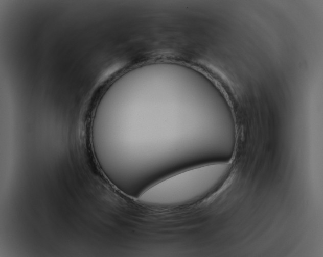 X0000088151309200705141043