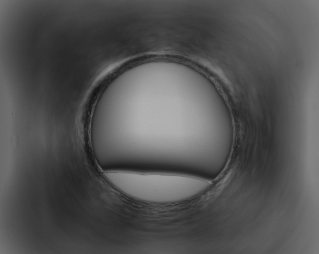 X0000088151311200705141043