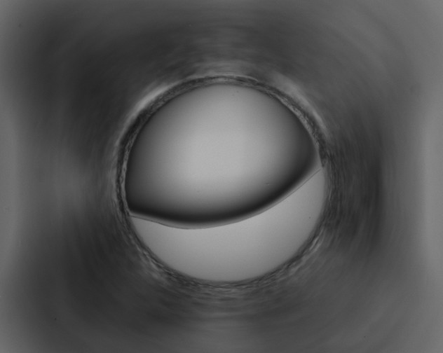 X0000088151312200705141043