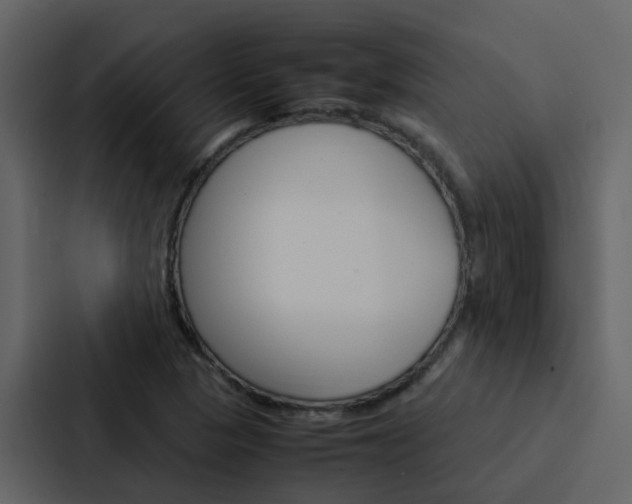 X0000088151313200705141043