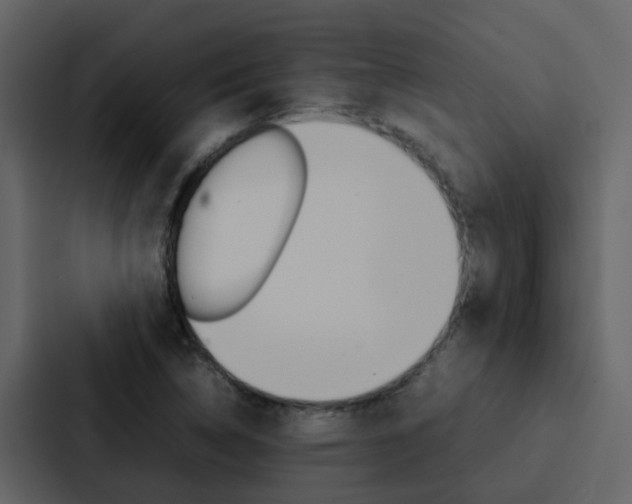 X0000088151314200705141043