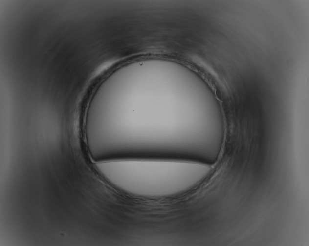X0000088151315200705141043