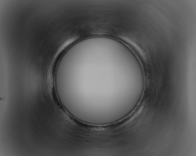X0000088151317200705141043