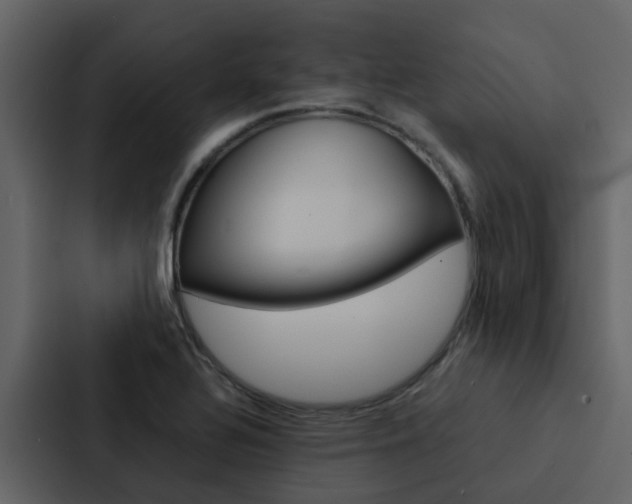 X0000088151320200705141044