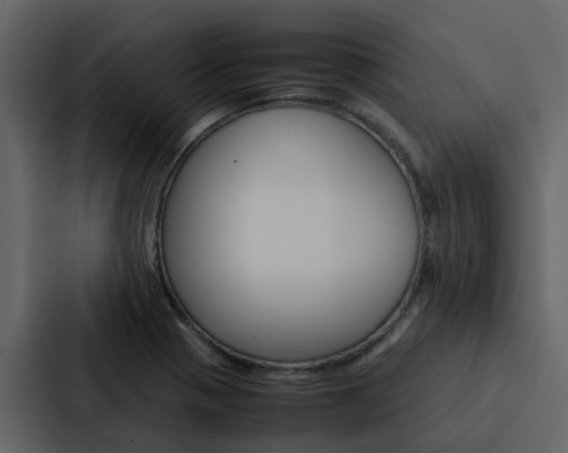 X0000088151321200705141044