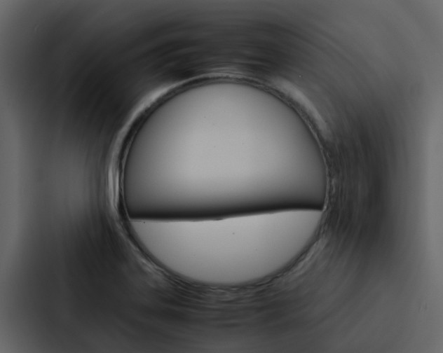 X0000088151323200705141044