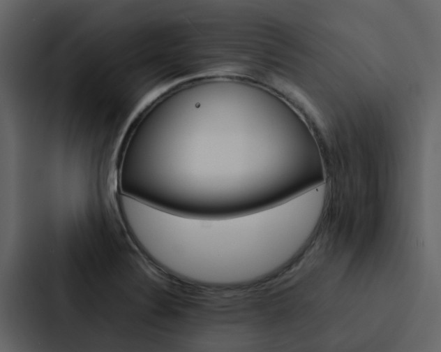 X0000088151324200705141044