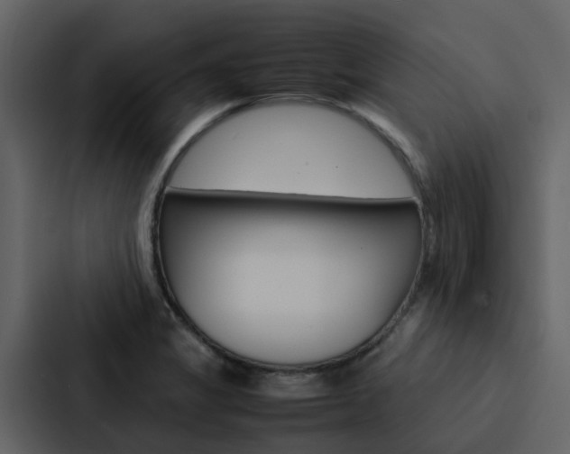 X0000088151325200705141044