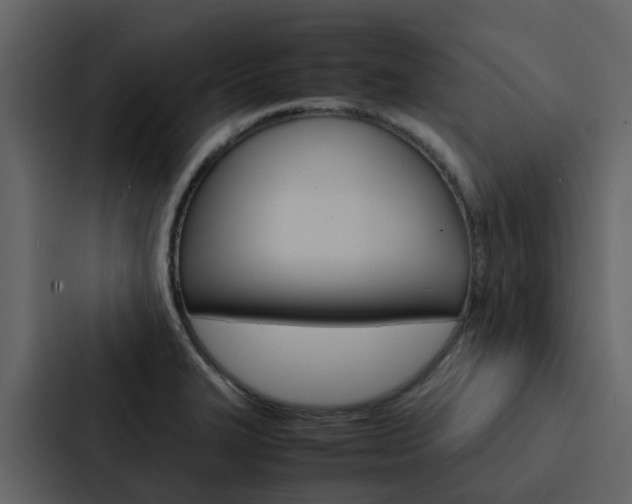 X0000088151327200705141044