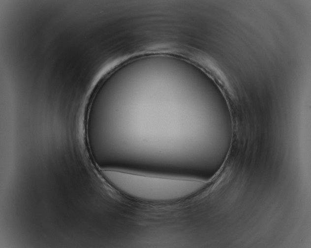 X0000088151328200705141044