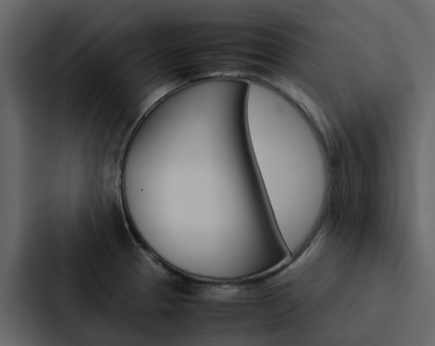 X0000088151329200705141044