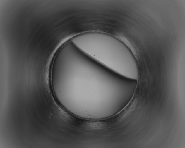 X0000088151331200705141044
