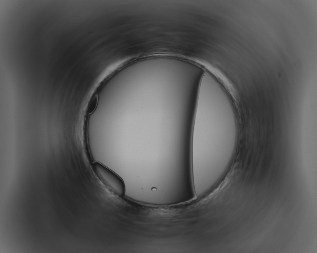 X0000088151333200705141044
