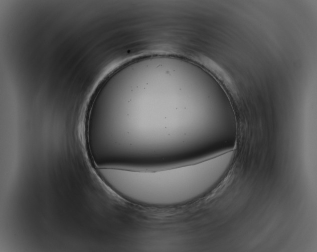 X0000088151334200705141044