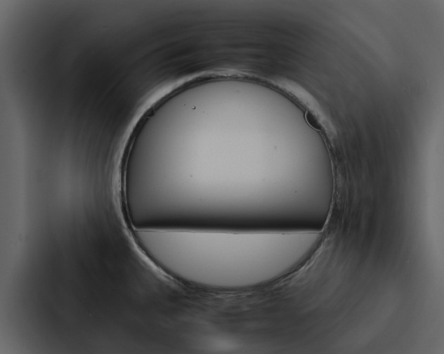 X0000088151335200705141044
