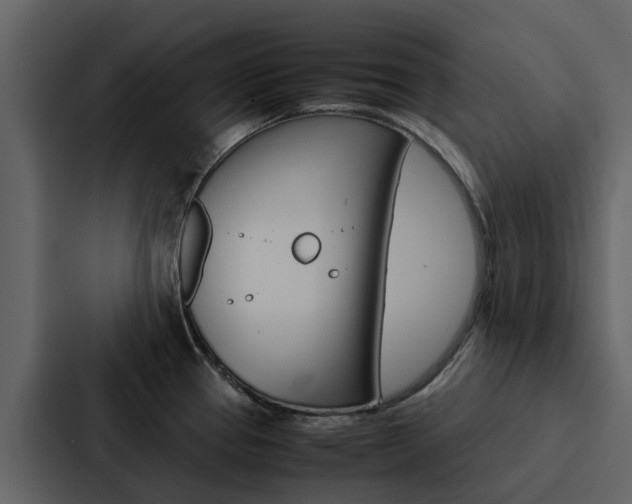 X0000088151337200705141044