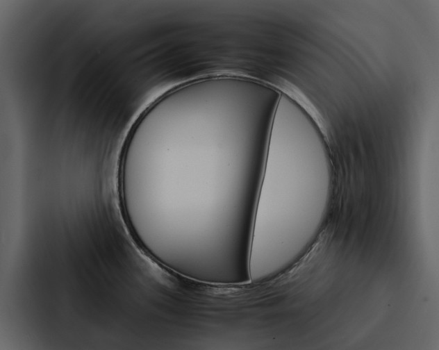X0000088151339200705141044