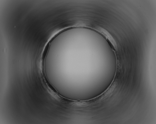 X0000088151340200705141044
