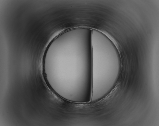 X0000088151341200705141044