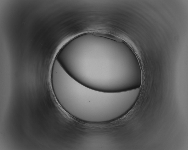 X0000088151344200705141044