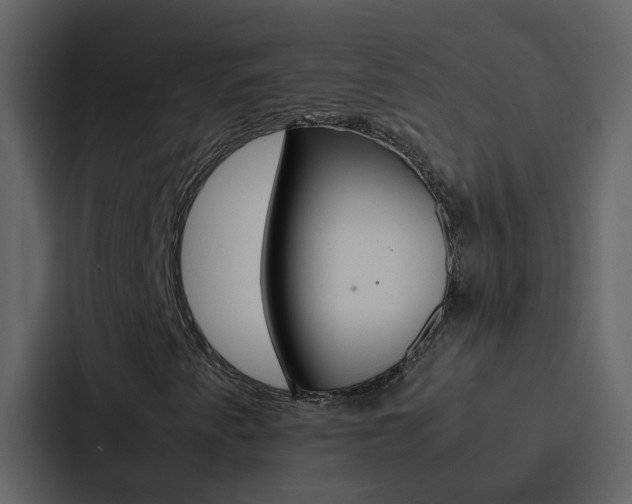 X0000088151345200705141043