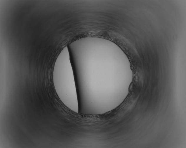 X0000088151346200705141043