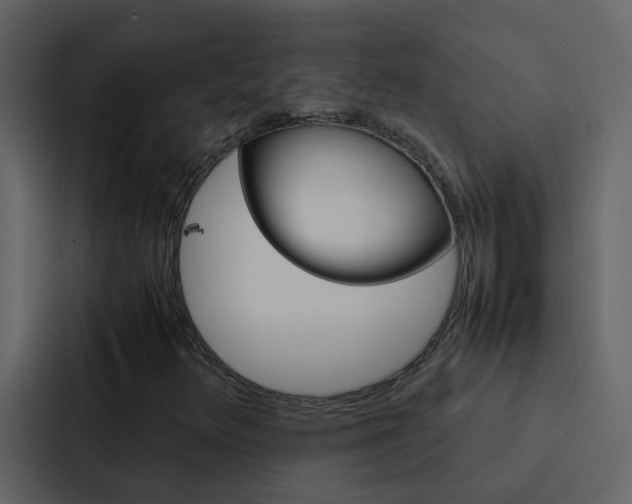 X0000088151348200705141043