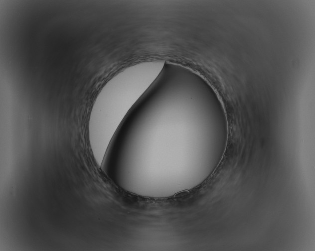 X0000088151349200705141043