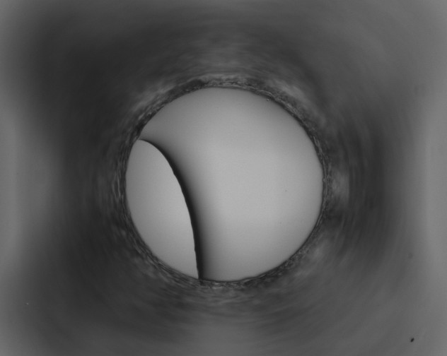 X0000088151350200705141043