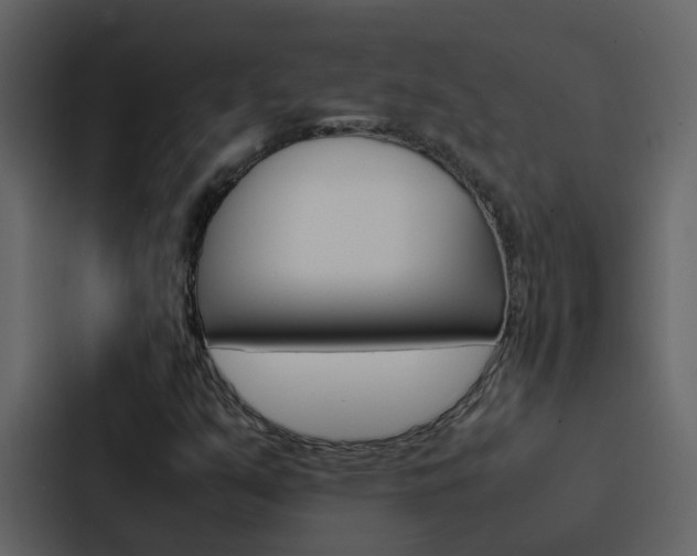X0000088151351200705141043