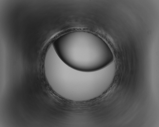 X0000088151352200705141043