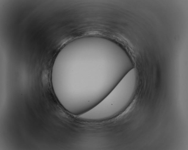 X0000088151353200705141043