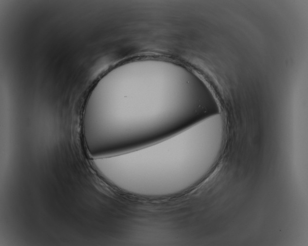 X0000088151355200705141043