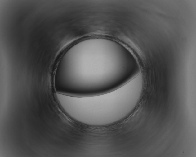 X0000088151356200705141043
