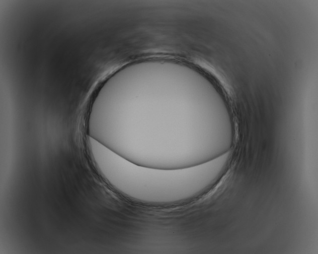 X0000088151357200705141043