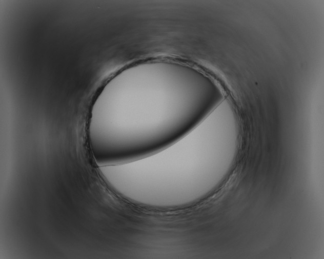 X0000088151359200705141043