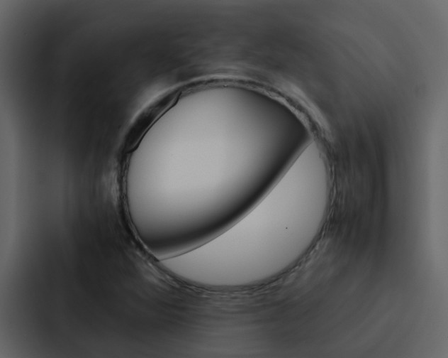 X0000088151360200705141043