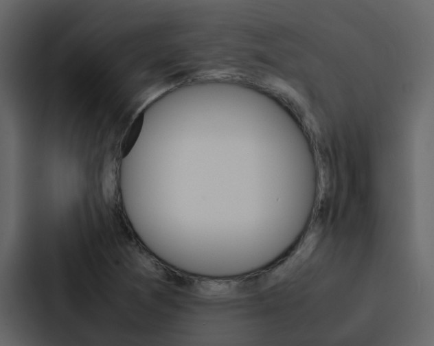 X0000088151361200705141043