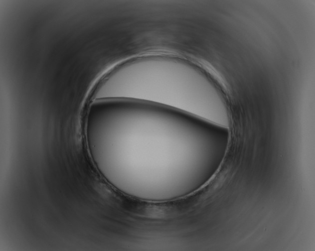 X0000088151364200705141043