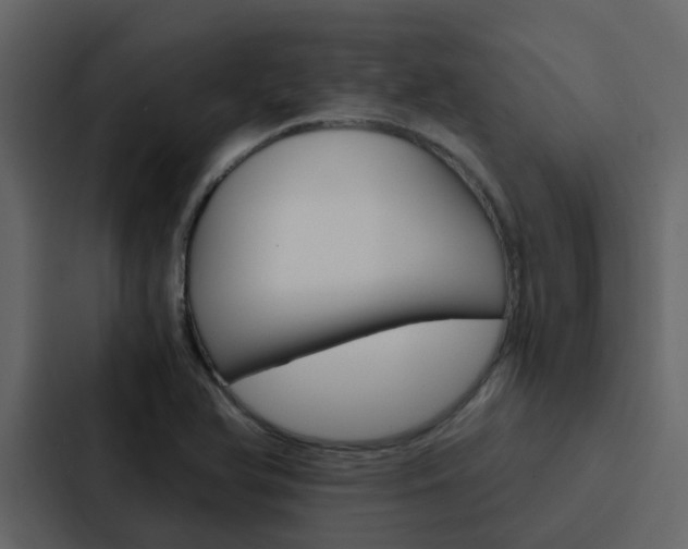 X0000088151366200705141043