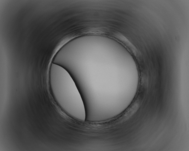 X0000088151370200705141043