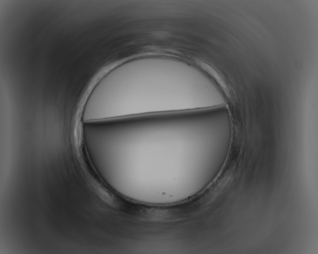 X0000088151371200705141043