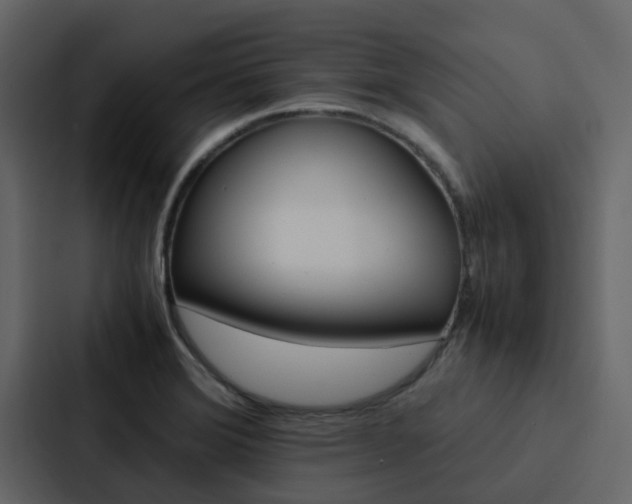 X0000088151372200705141043