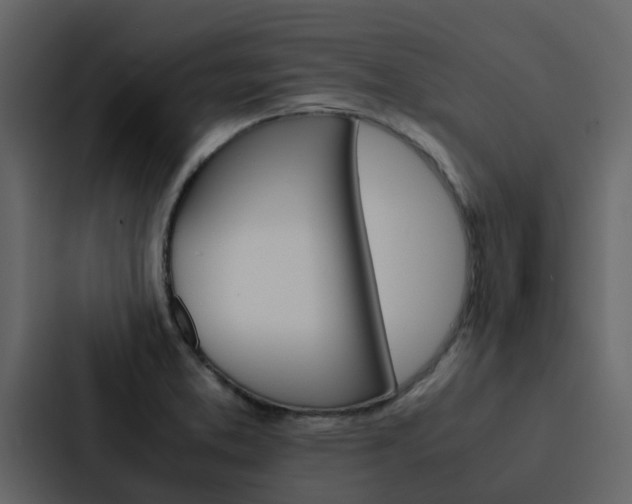 X0000088151373200705141043