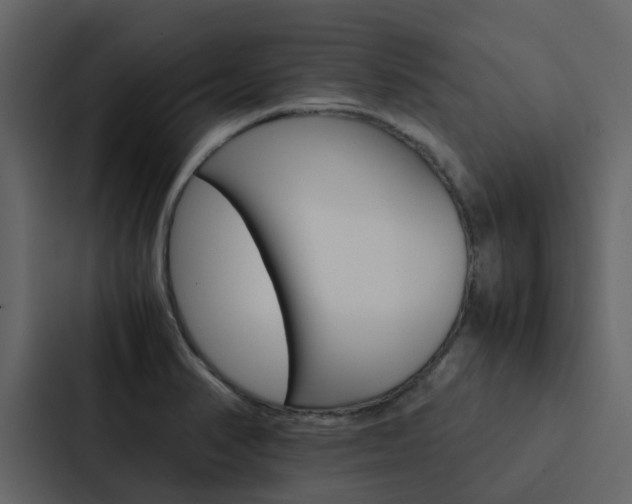 X0000088151374200705141043