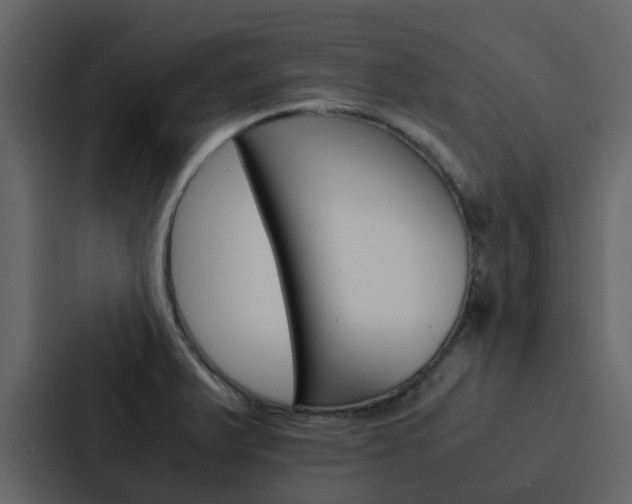 X0000088151375200705141043