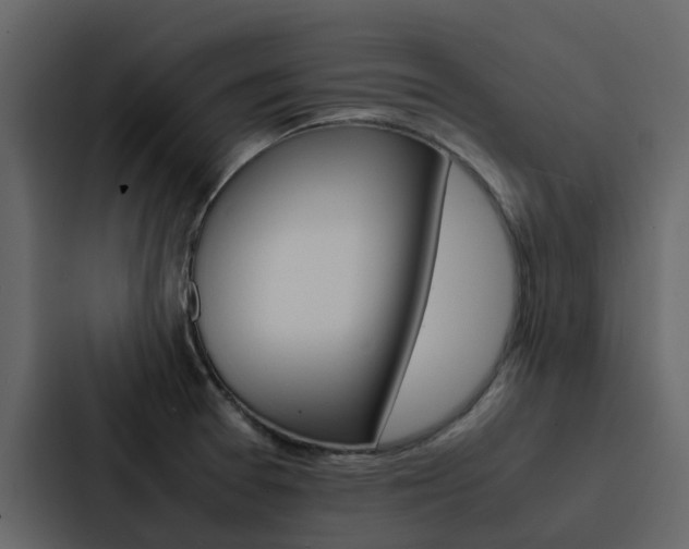 X0000088151377200705141043